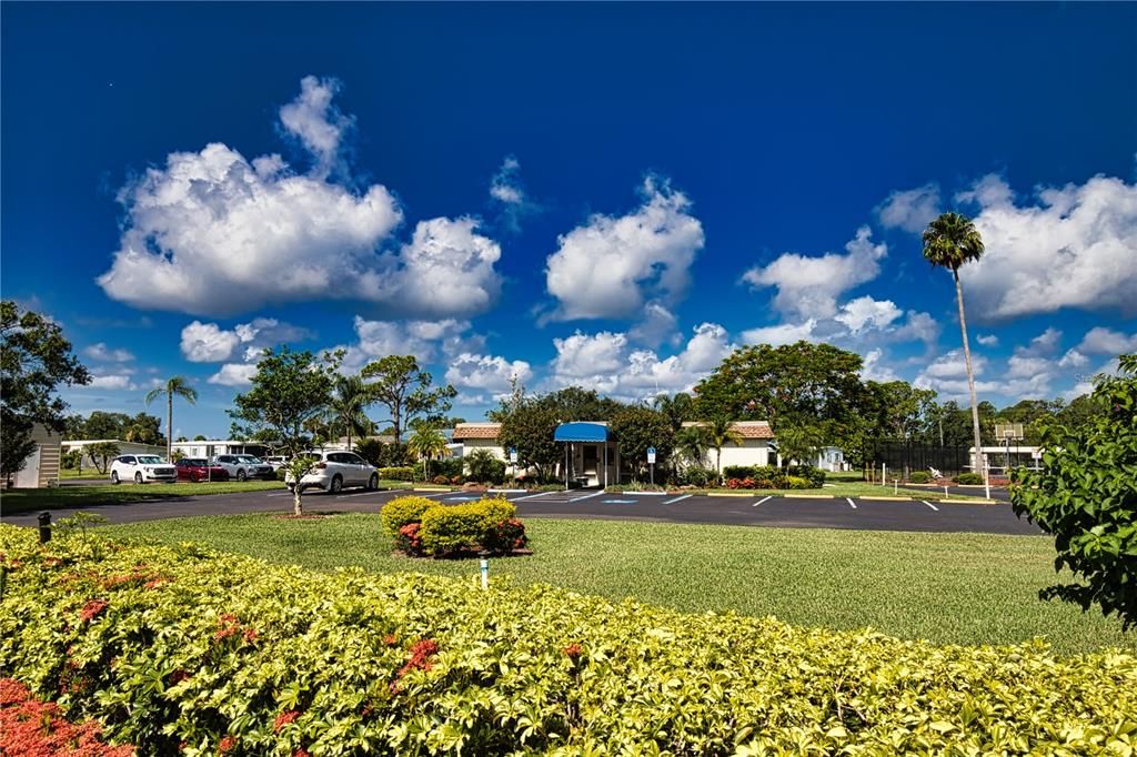 For Sale: $10,000 (0.13 acres)