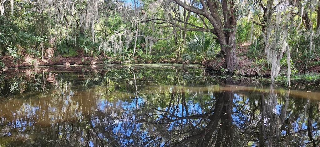 待售: $579,000 (4 贝兹, 3 浴室, 2381 平方英尺)