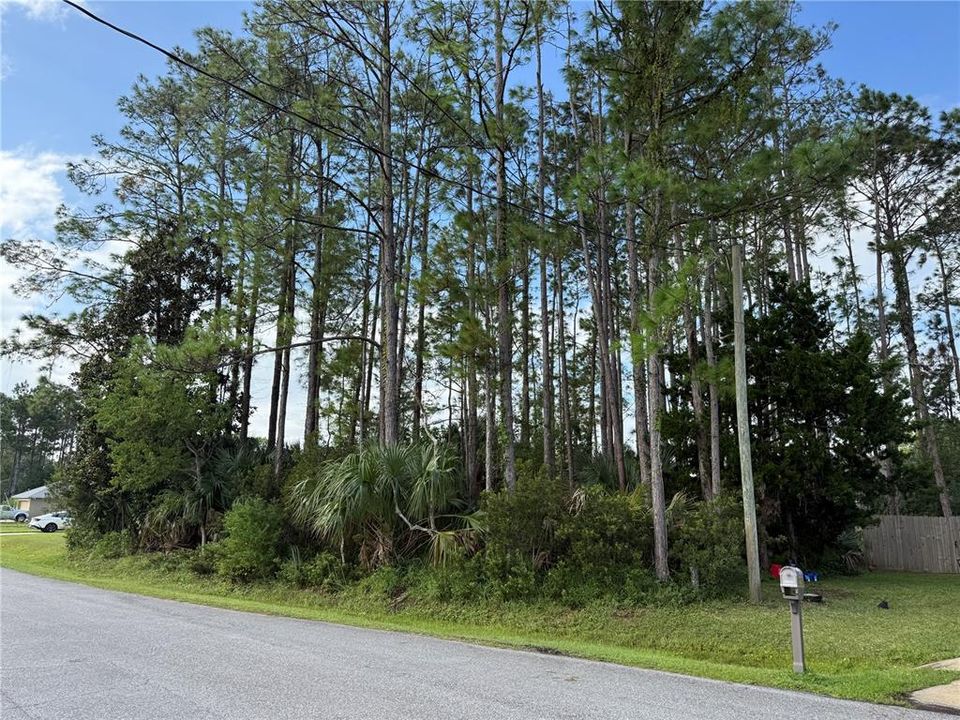 待售: $85,000 (0.23 acres)