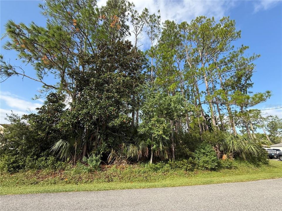 待售: $85,000 (0.23 acres)