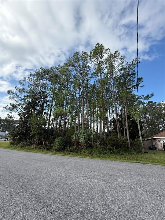 待售: $85,000 (0.23 acres)