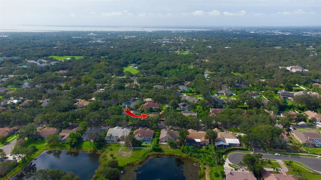 合同活跃: $1,150,000 (4 贝兹, 3 浴室, 3219 平方英尺)