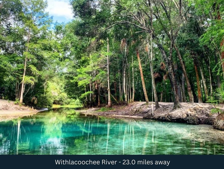 For Sale: $28,900 (0.25 acres)