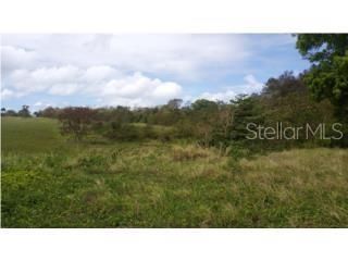 For Sale: $675,000 (6.97 acres)