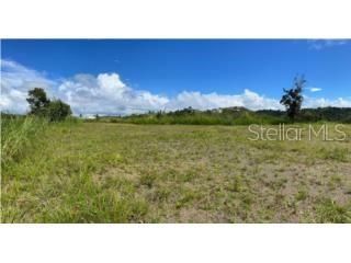 For Sale: $675,000 (6.97 acres)