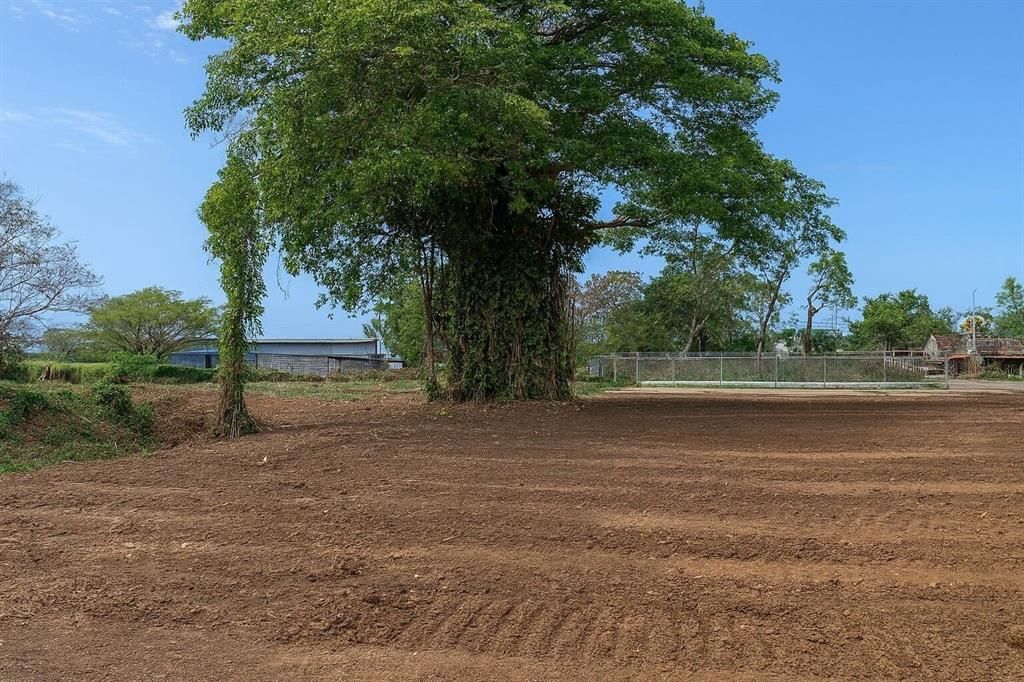 For Sale: $675,000 (6.97 acres)