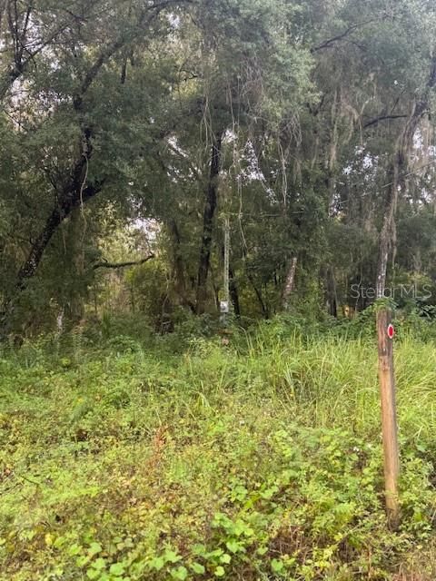 For Sale: $45,900 (1.94 acres)