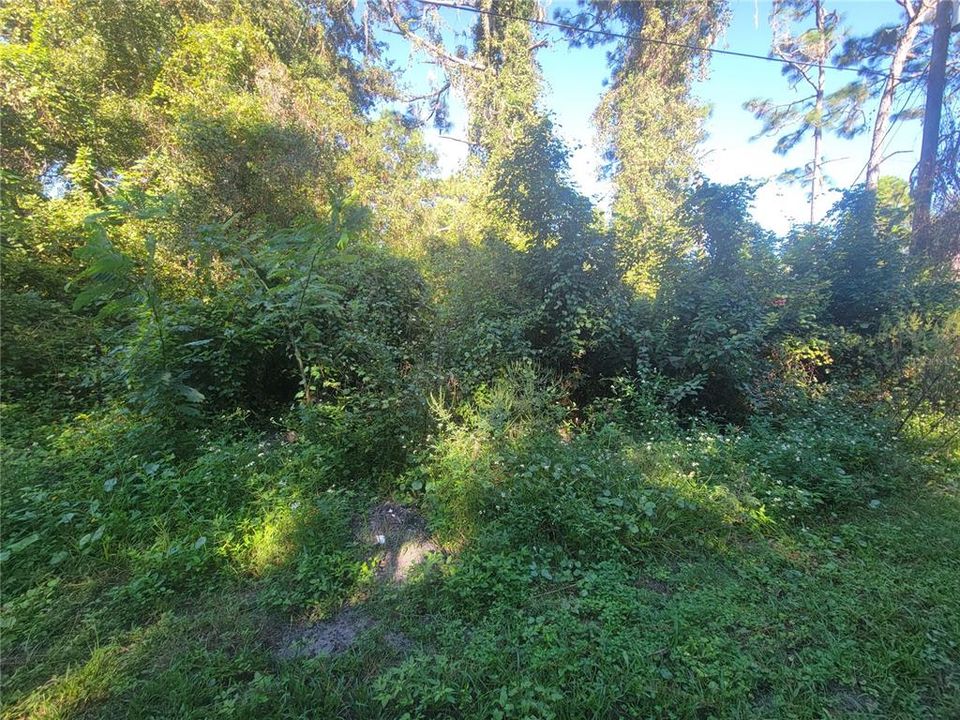 For Sale: $15,000 (0.18 acres)