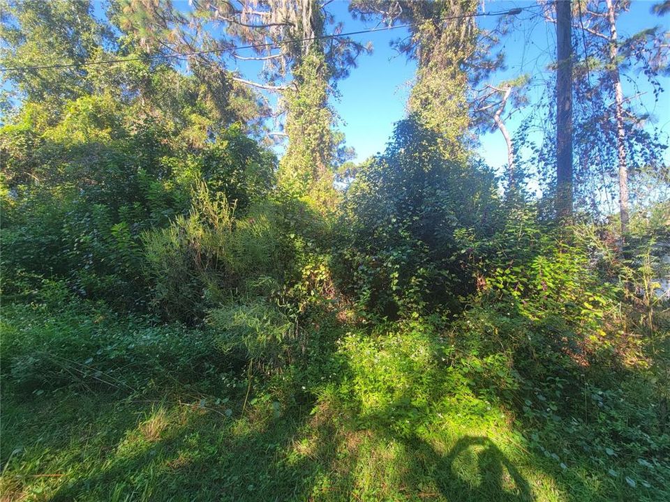 For Sale: $15,000 (0.18 acres)