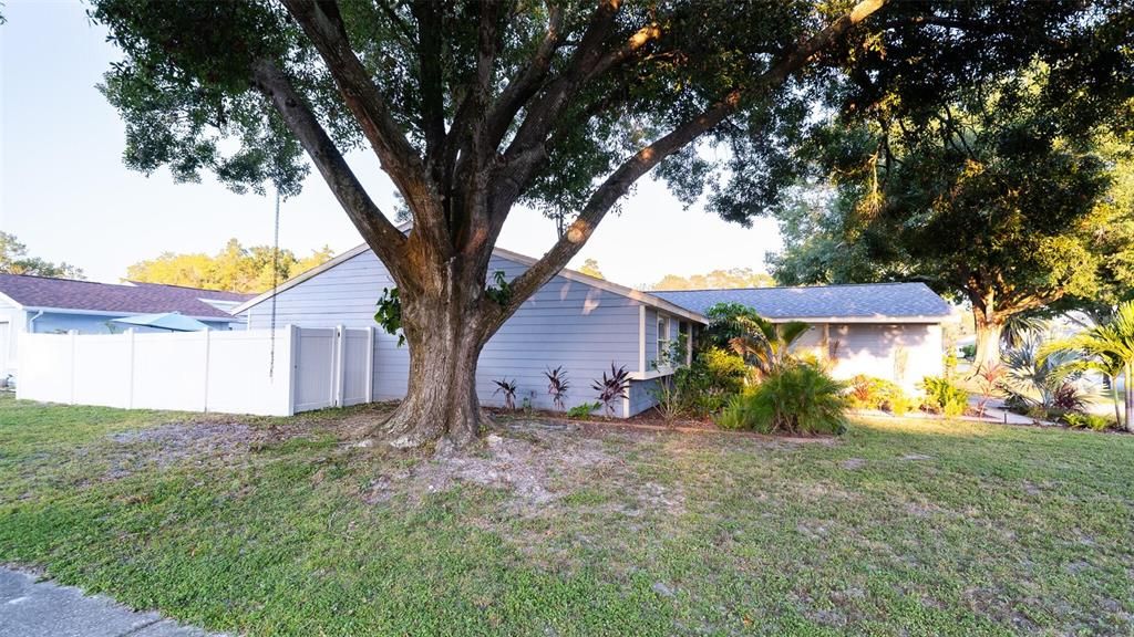 合同活跃: $330,000 (3 贝兹, 2 浴室, 1534 平方英尺)