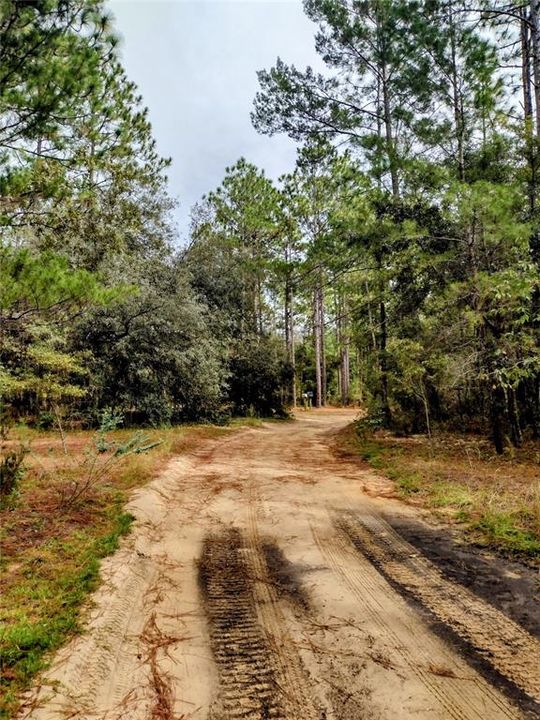 待售: $32,000 (0.21 acres)