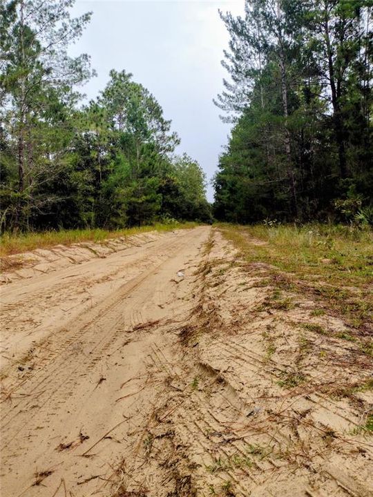 待售: $32,000 (0.21 acres)