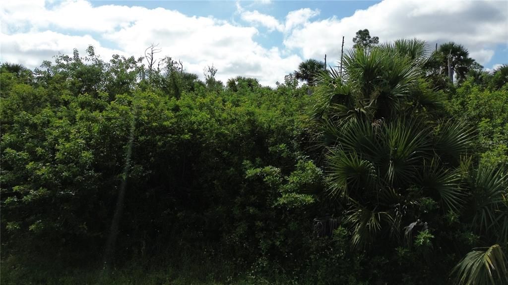 На продажу: $10,000 (0.28 acres)