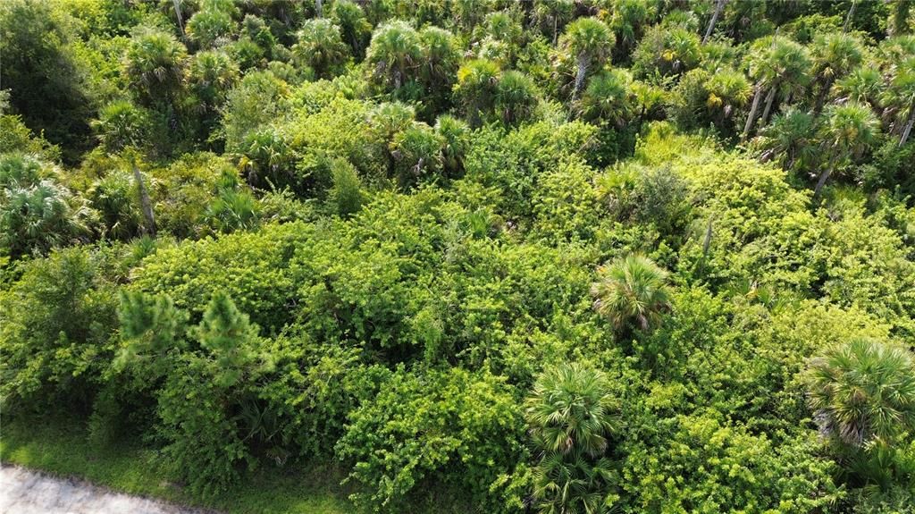 На продажу: $10,000 (0.28 acres)