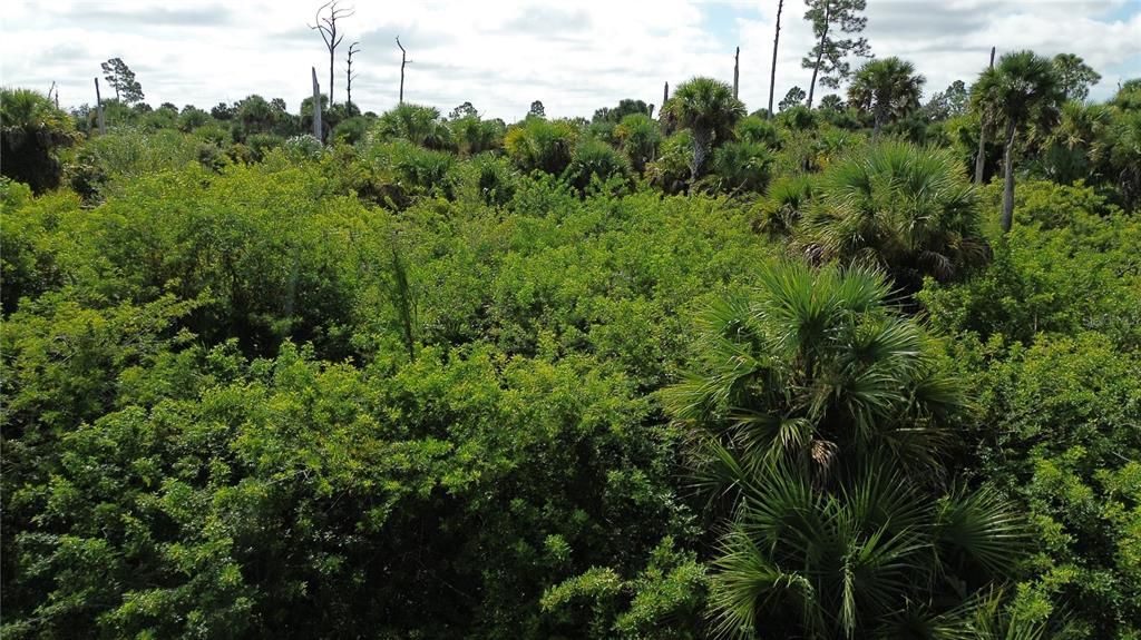 На продажу: $10,000 (0.28 acres)