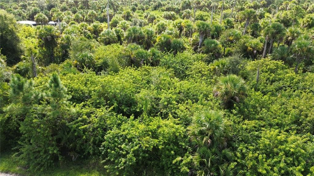 На продажу: $10,000 (0.28 acres)