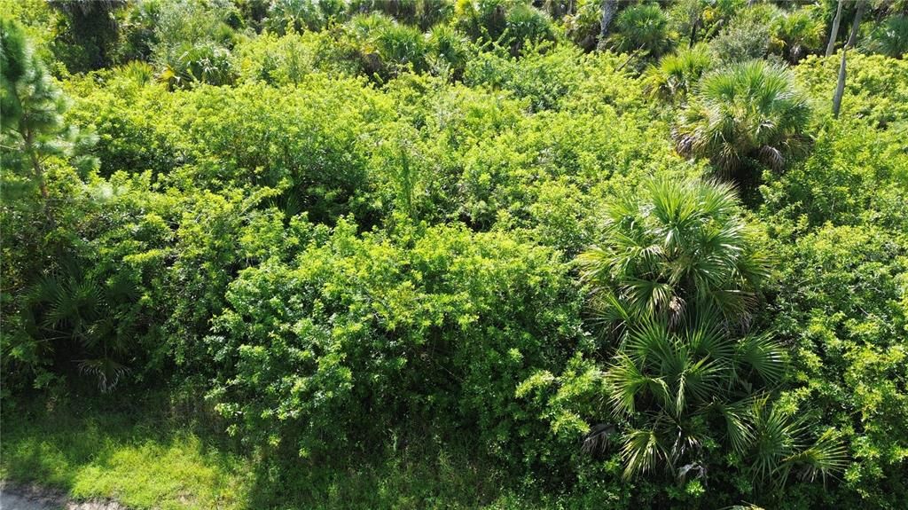 На продажу: $10,000 (0.28 acres)