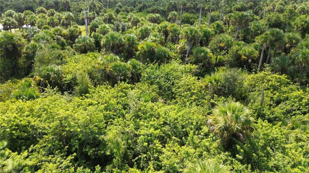 На продажу: $10,000 (0.28 acres)