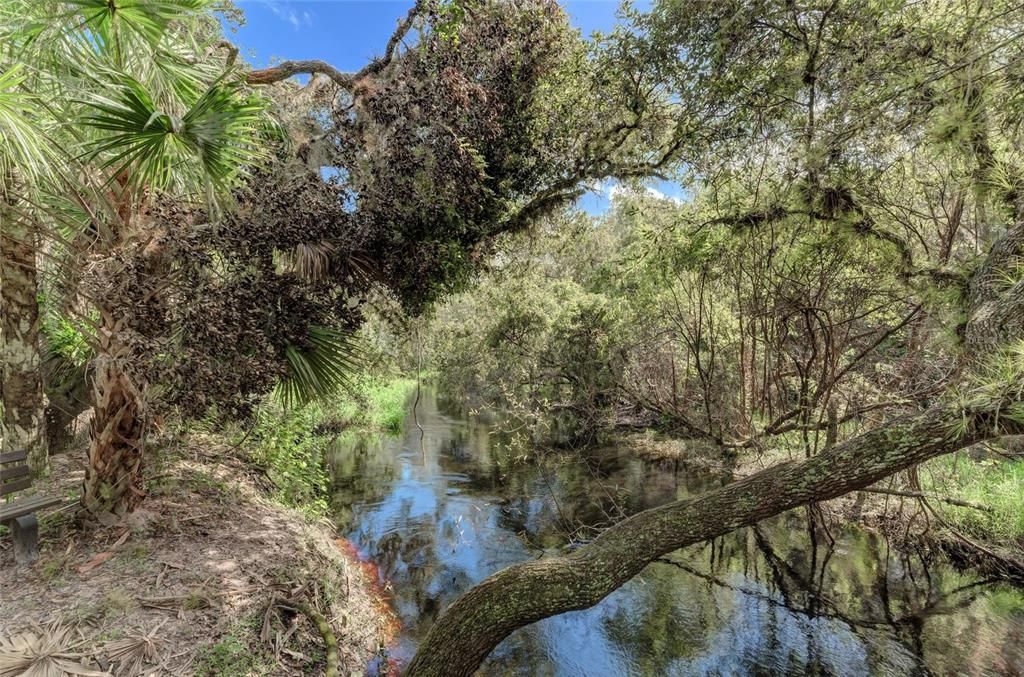 待售: $22,500 (0.23 acres)