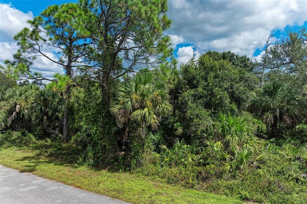 待售: $22,500 (0.23 acres)