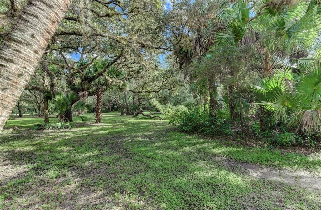 待售: $22,500 (0.23 acres)