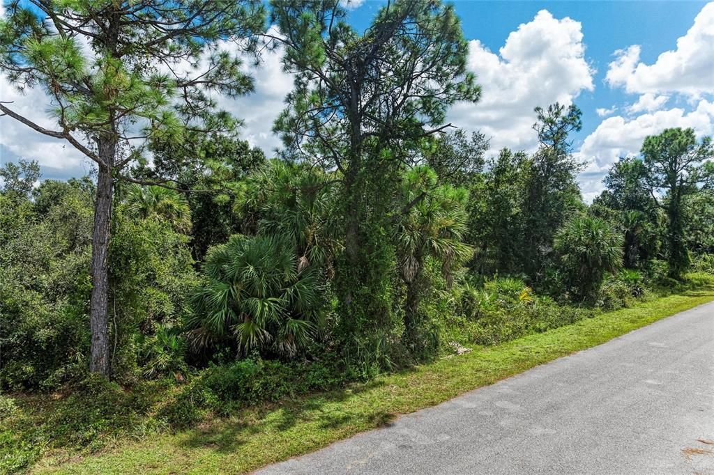 待售: $22,500 (0.23 acres)