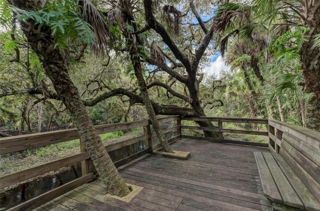 待售: $22,500 (0.23 acres)