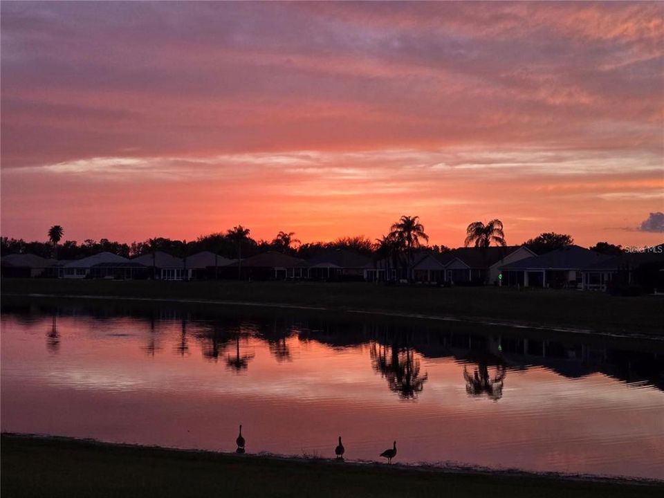 For Sale: $685,500 (3 beds, 2 baths, 2312 Square Feet)