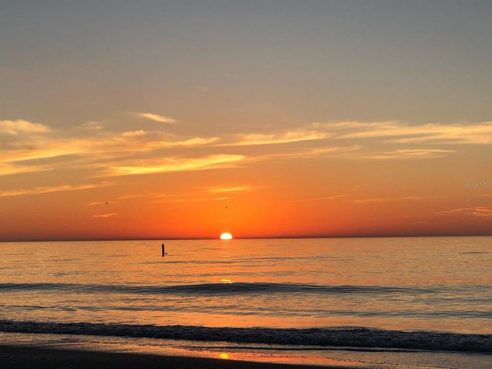 На продажу: $259,900 (1 спален, 2 ванн, 1050 Квадратных фут)