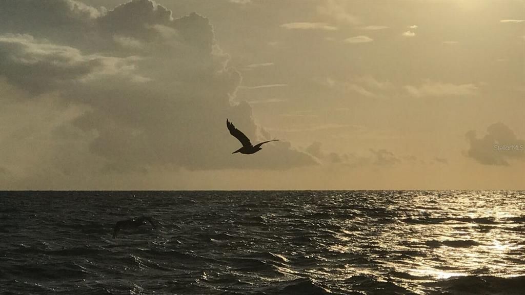 На продажу: $259,900 (1 спален, 2 ванн, 1050 Квадратных фут)