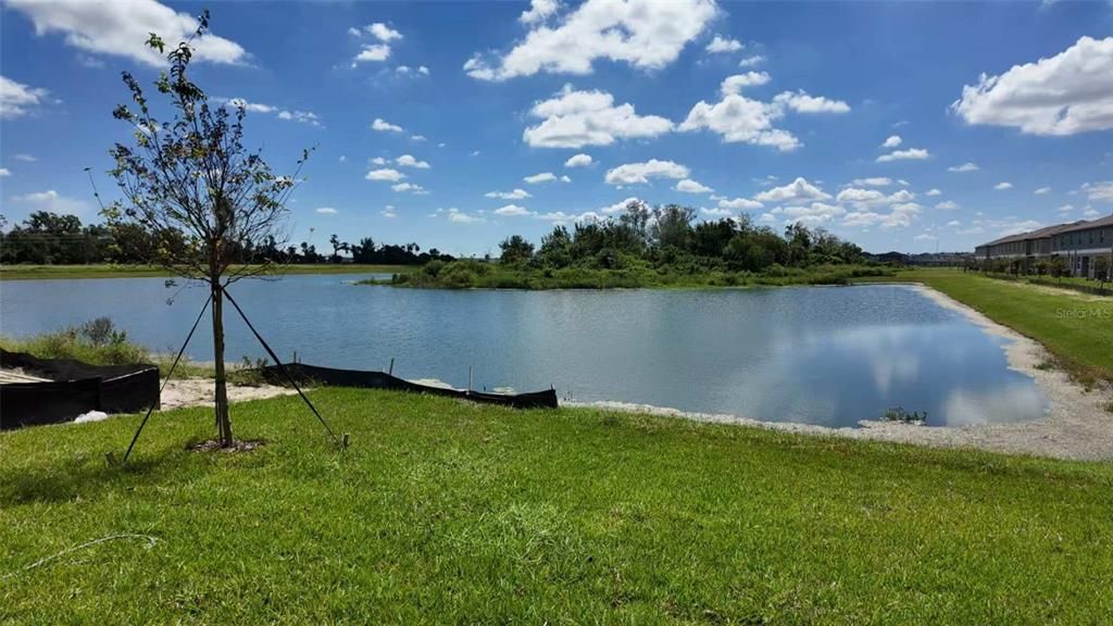 出租: $2,250 (3 贝兹, 2 浴室, 1801 平方英尺)