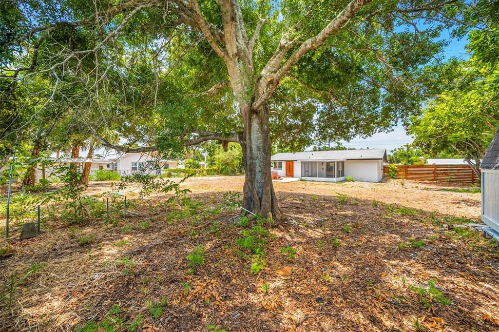 Activo con contrato: $375,000 (3 camas, 2 baños, 1280 Pies cuadrados)