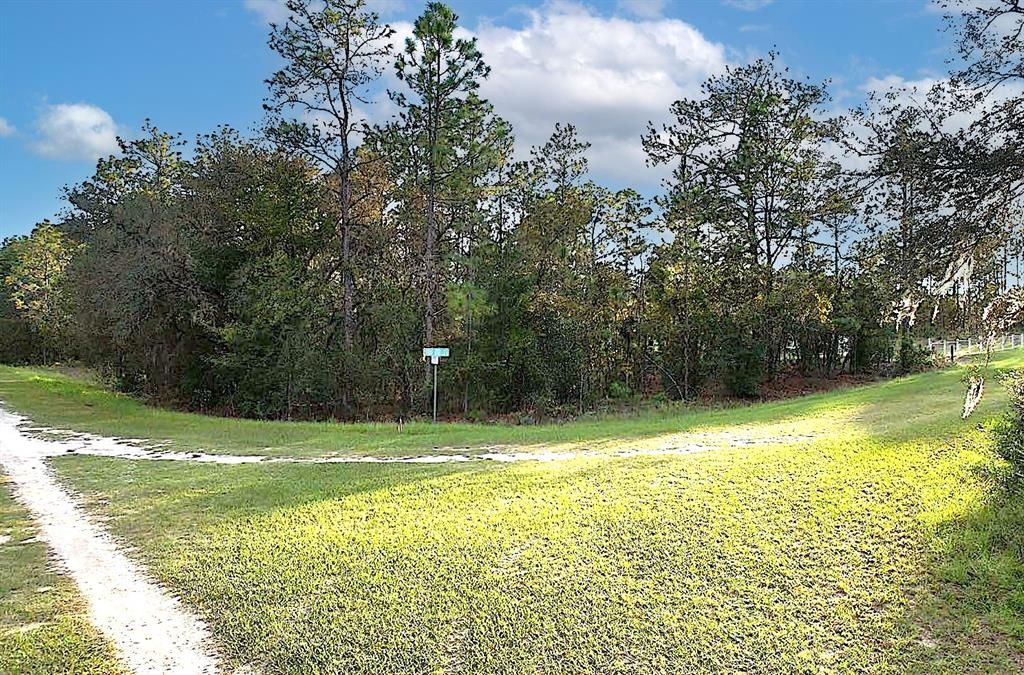 En Venta: $60,000 (0.98 acres)