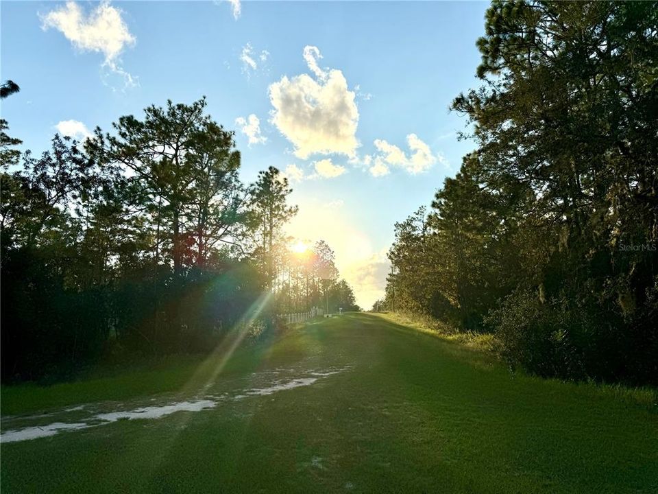 En Venta: $60,000 (0.98 acres)