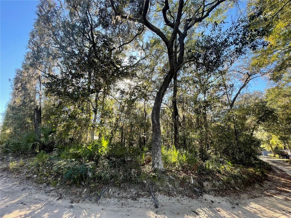 En Venta: $12,900 (0.23 acres)