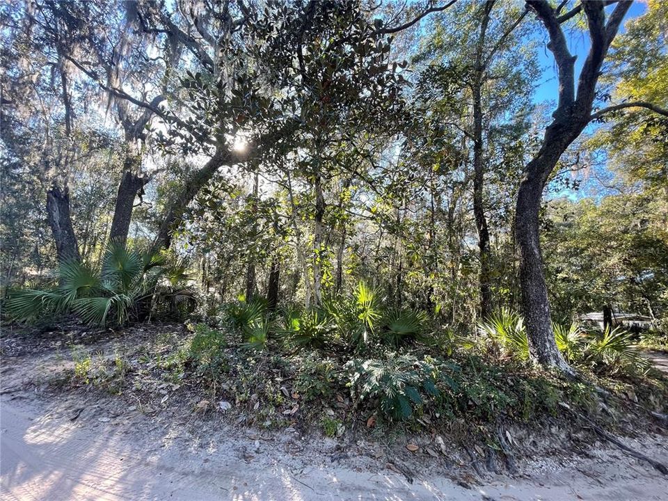 En Venta: $12,900 (0.23 acres)