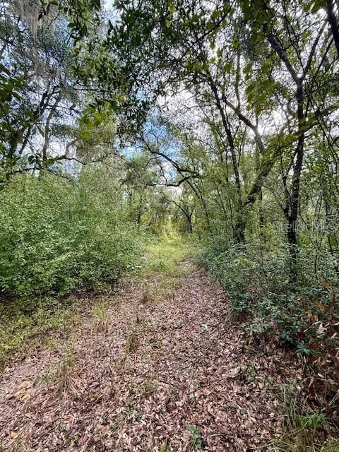 На продажу: $65,000 (1.66 acres)