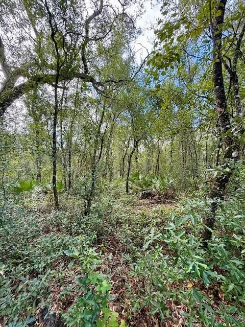 На продажу: $65,000 (1.66 acres)