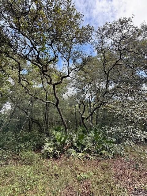 На продажу: $65,000 (1.66 acres)