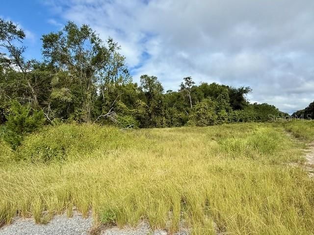 На продажу: $65,000 (1.66 acres)