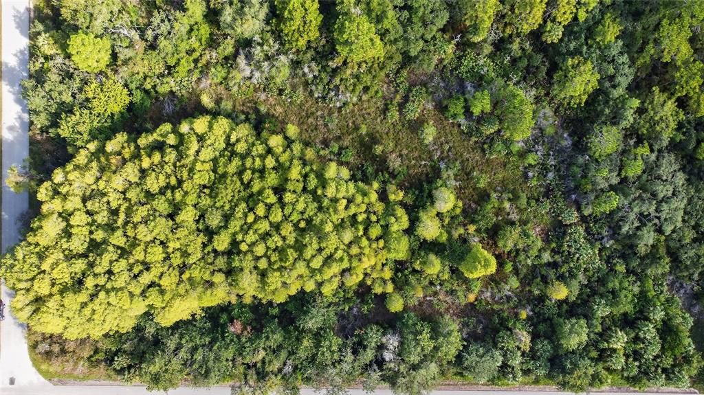 For Sale: $150,000 (5.03 acres)