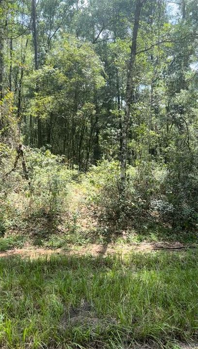 For Sale: $29,900 (0.64 acres)