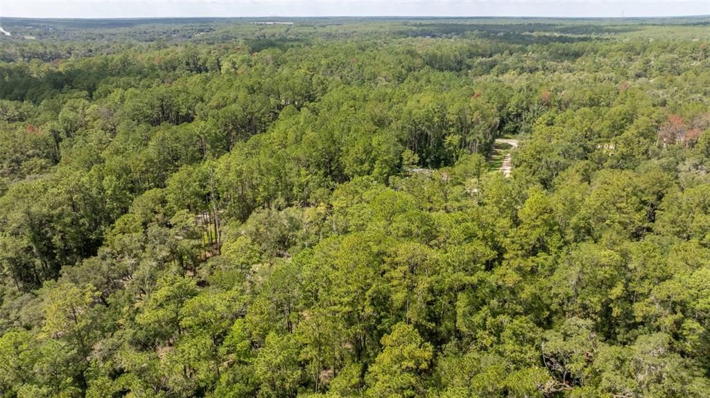 For Sale: $29,900 (0.64 acres)