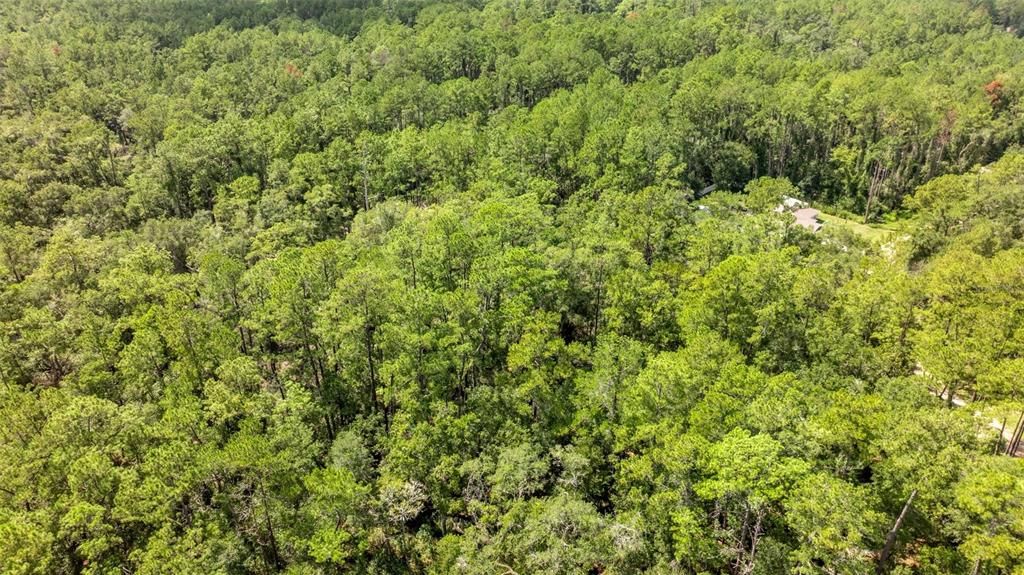 For Sale: $29,900 (0.64 acres)