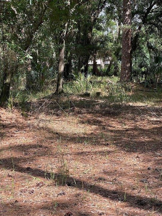 En Venta: $145,000 (1.54 acres)