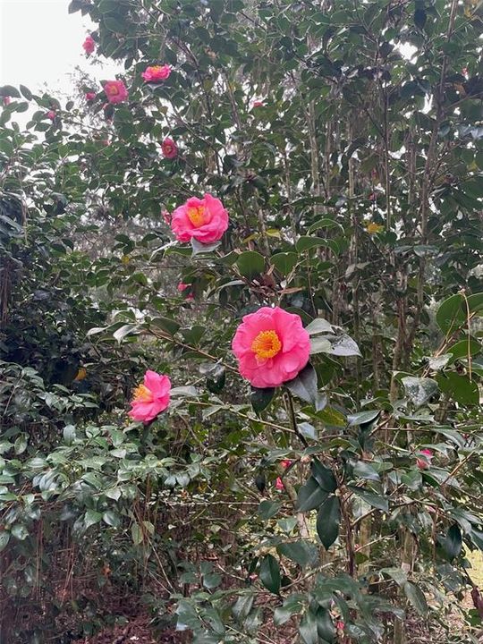 待售: $230,000 (2 贝兹, 1 浴室, 840 平方英尺)