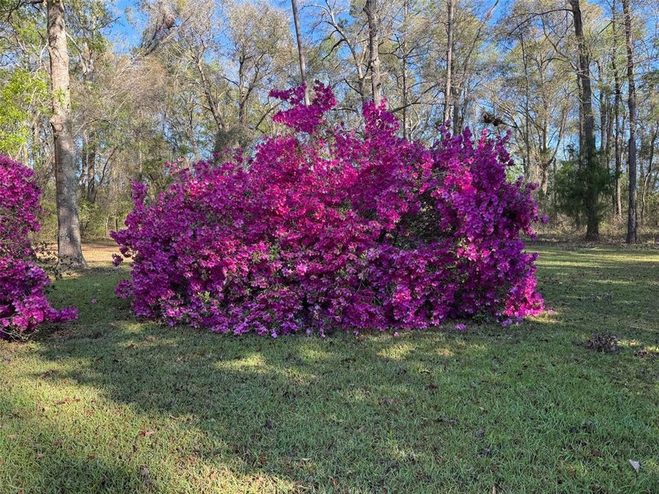 待售: $230,000 (2 贝兹, 1 浴室, 840 平方英尺)