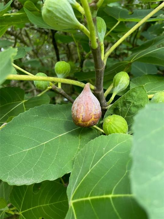 待售: $230,000 (2 贝兹, 1 浴室, 840 平方英尺)