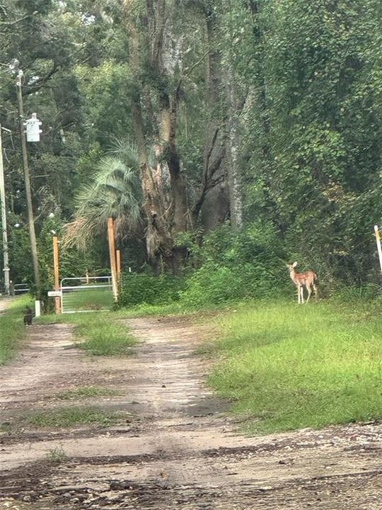 待售: $230,000 (2 贝兹, 1 浴室, 840 平方英尺)