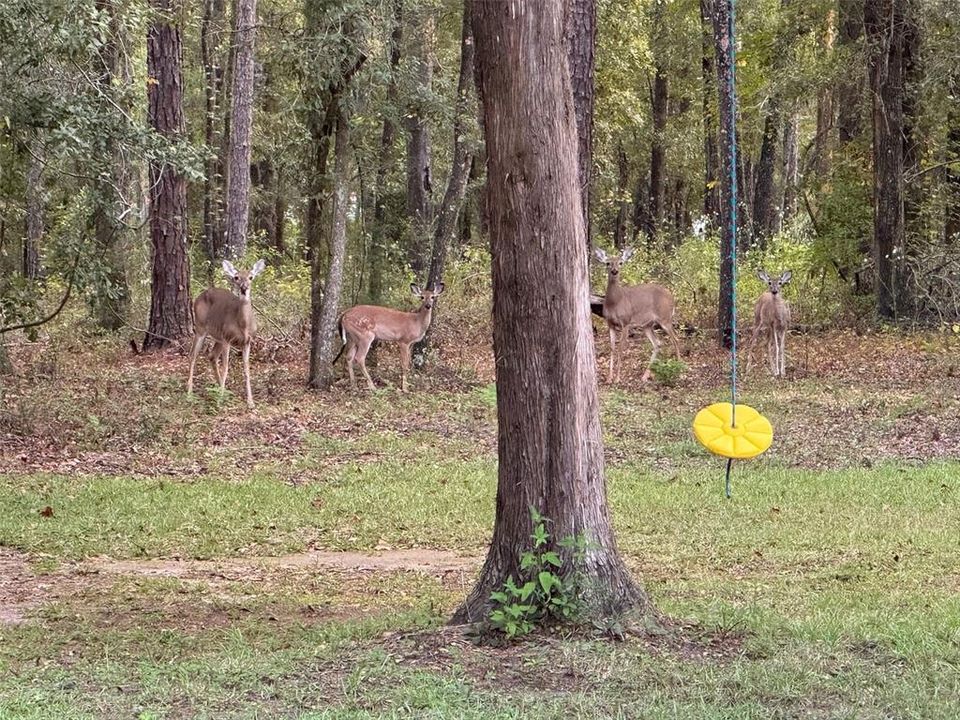 待售: $230,000 (2 贝兹, 1 浴室, 840 平方英尺)